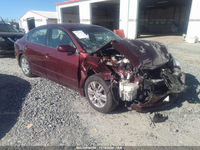 NISSAN ALTIMA 2010 1n4al2ap4an502863