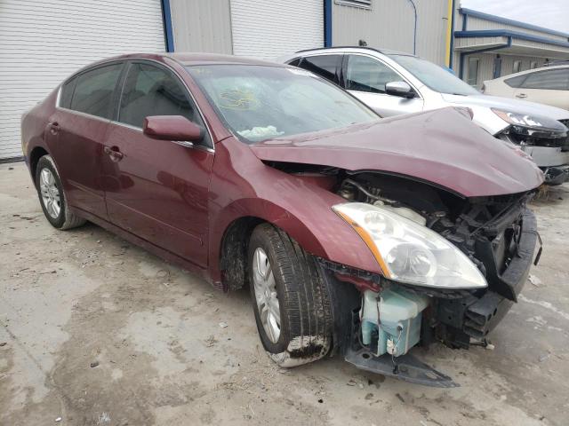 NISSAN ALTIMA 2010 1n4al2ap4an512356