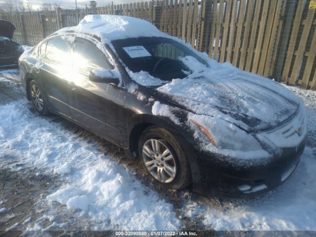 NISSAN ALTIMA 2010 1n4al2ap4an517881