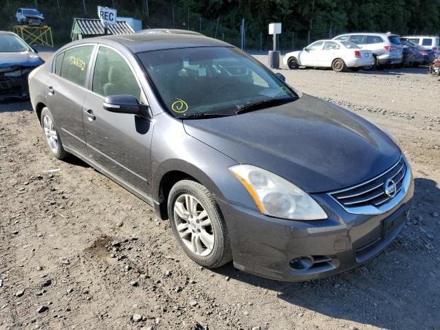 NISSAN ALTIMA 2010 1n4al2ap4an533529