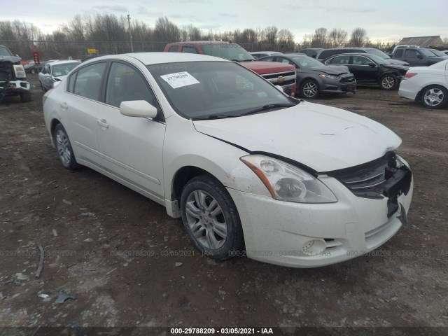 NISSAN ALTIMA 2010 1n4al2ap4an559791