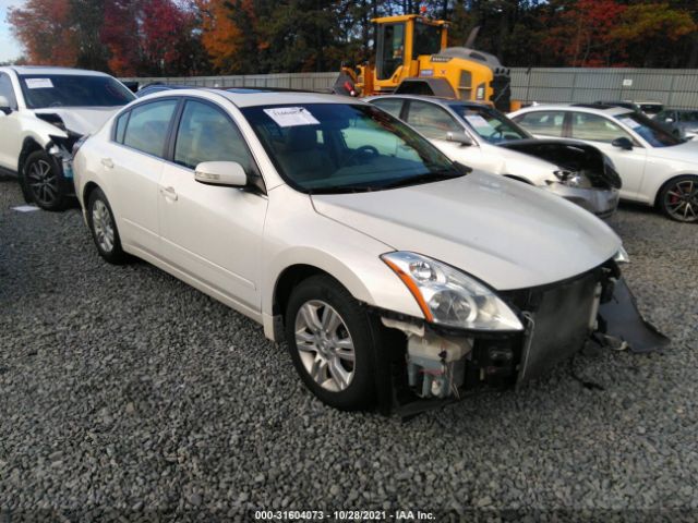 NISSAN ALTIMA 2010 1n4al2ap4an565249