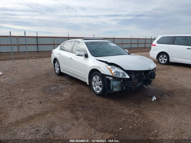 NISSAN ALTIMA 2010 1n4al2ap4an566093