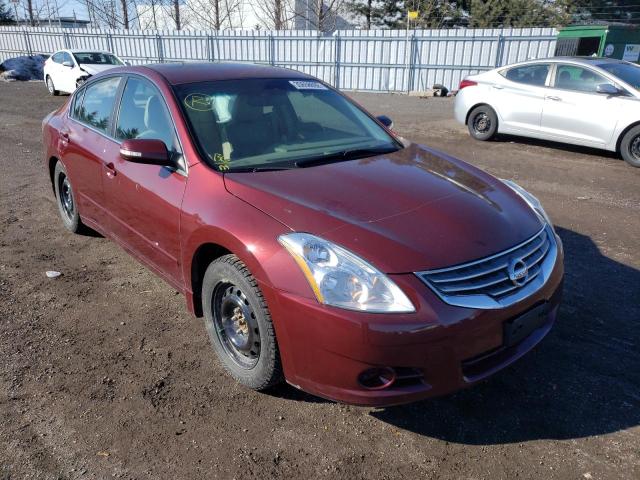 NISSAN ALTIMA BAS 2010 1n4al2ap5ac116318