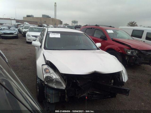 NISSAN ALTIMA 2010 1n4al2ap5an404568