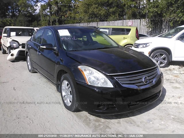 NISSAN ALTIMA 2010 1n4al2ap5an423122