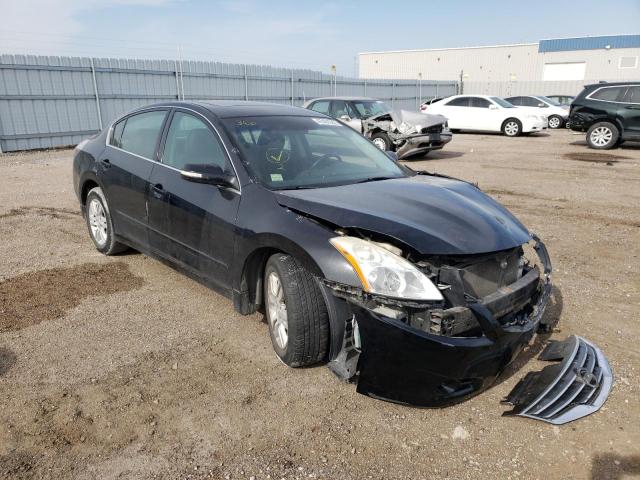 NISSAN ALTIMA BAS 2010 1n4al2ap5an550355