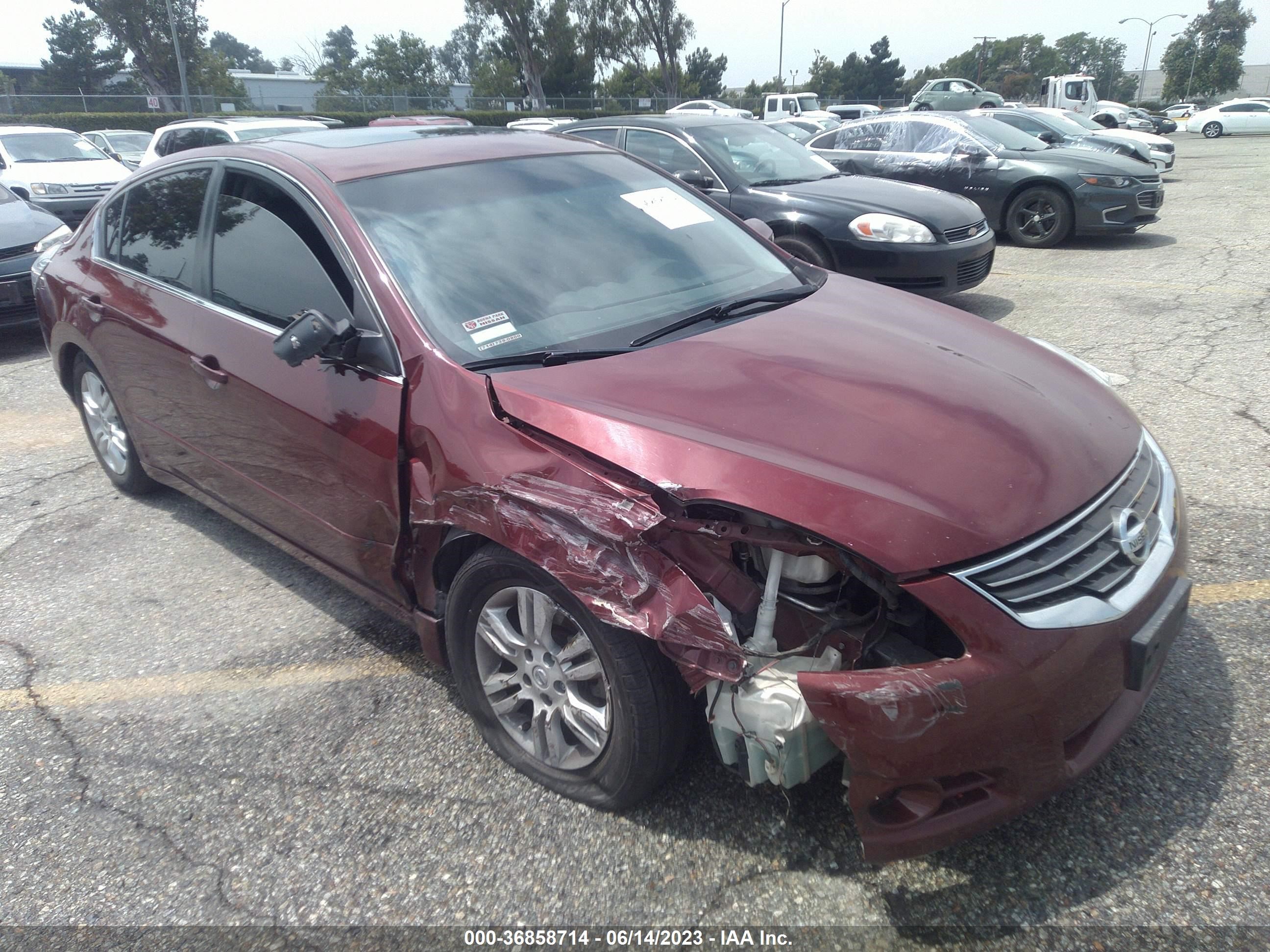 NISSAN ALTIMA 2010 1n4al2ap5an567124