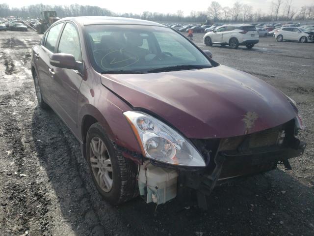 NISSAN ALTIMA BAS 2011 1n4al2ap5bn509127