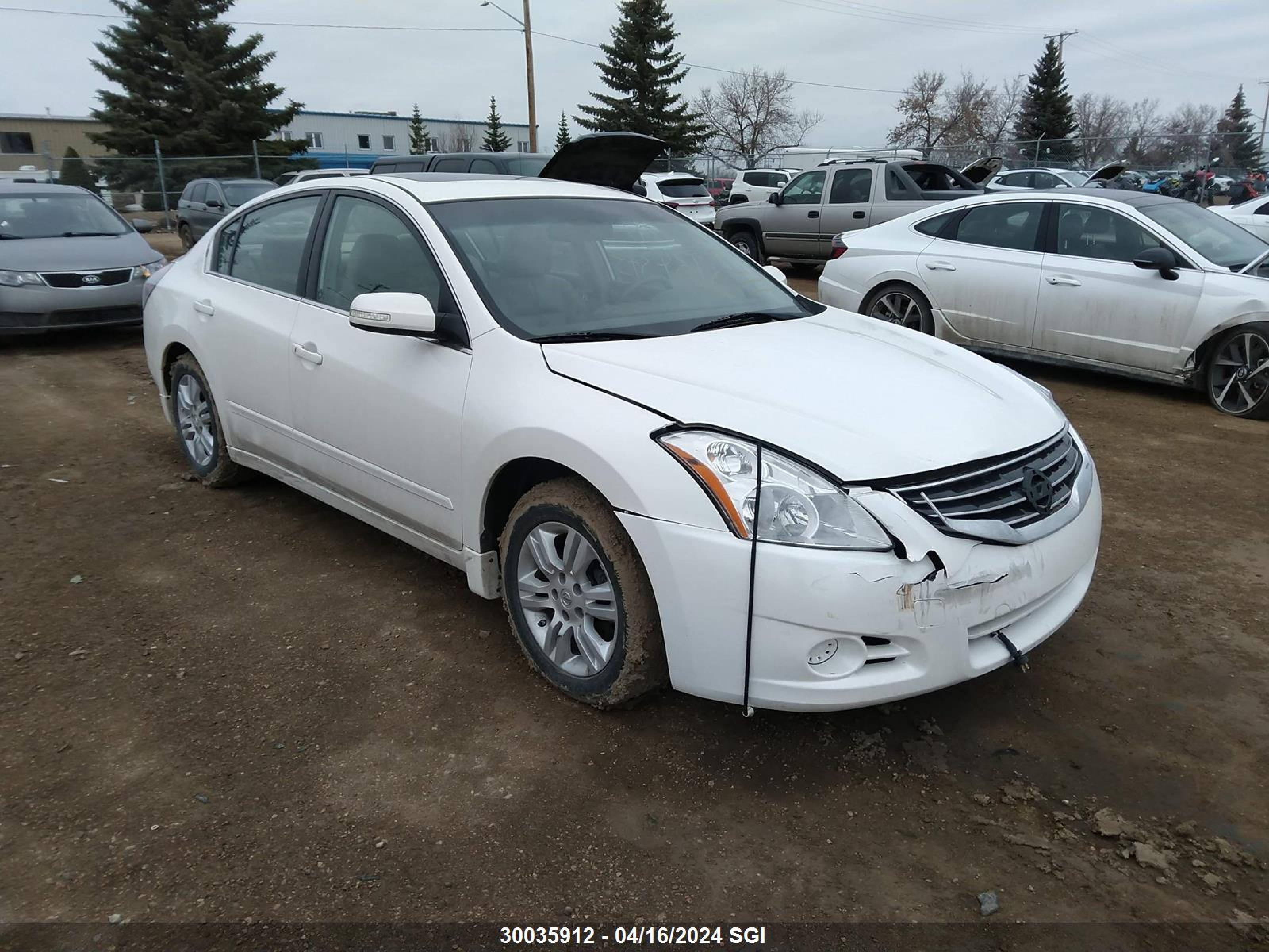 NISSAN ALTIMA 2010 1n4al2ap6ac116425