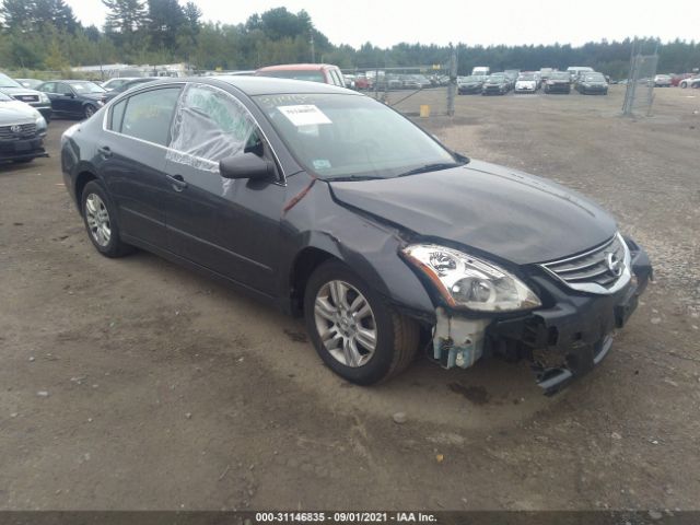 NISSAN ALTIMA 2010 1n4al2ap6an441824