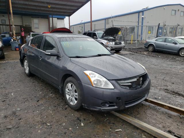 NISSAN ALTIMA BAS 2011 1n4al2ap6bn407237