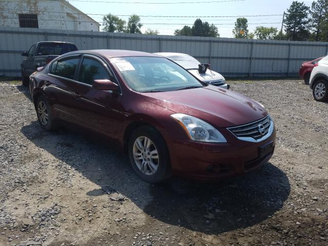 NISSAN ALTIMA BAS 2011 1n4al2ap6bn495285