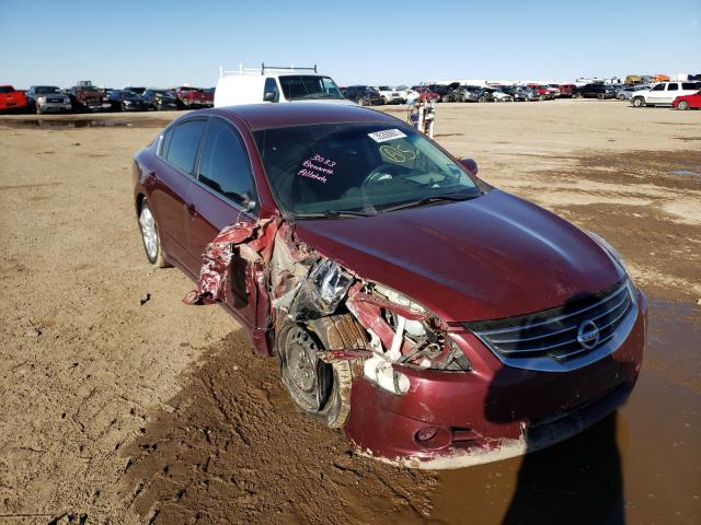 NISSAN ALTIMA BAS 2010 1n4al2ap8an496484