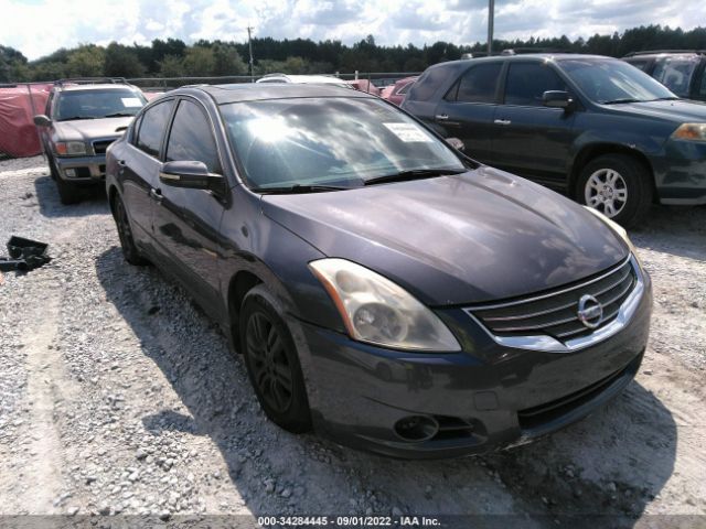 NISSAN ALTIMA 2010 1n4al2ap8an512487