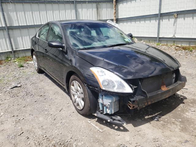 NISSAN ALTIMA BAS 2010 1n4al2ap8an541827