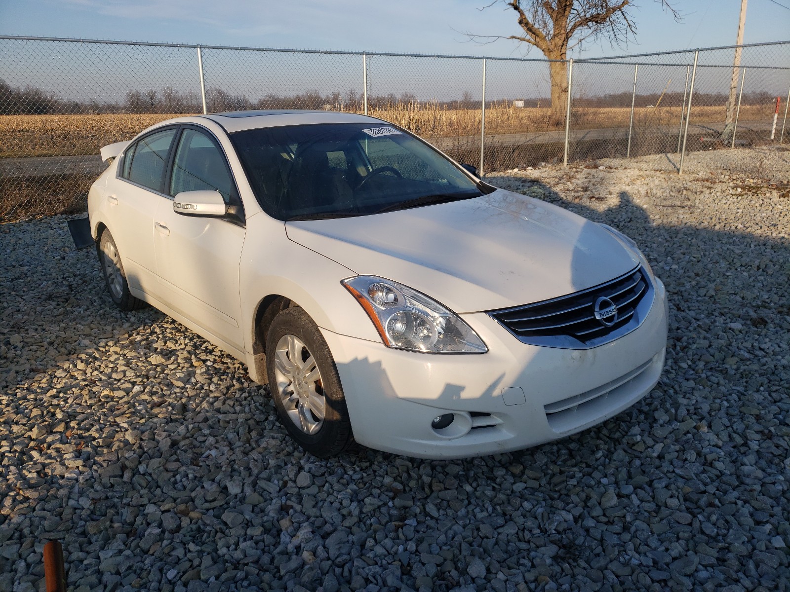 NISSAN ALTIMA BAS 2010 1n4al2ap9an491827