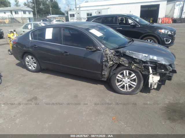 NISSAN ALTIMA 2010 1n4al2ap9an502258