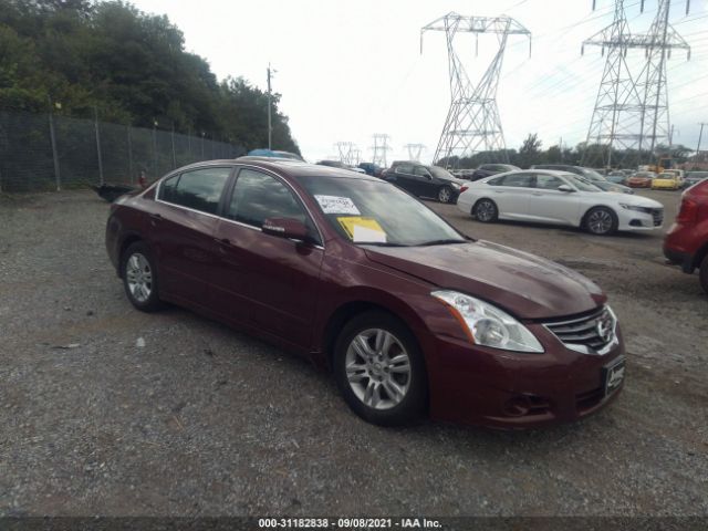 NISSAN ALTIMA 2010 1n4al2ap9an505449