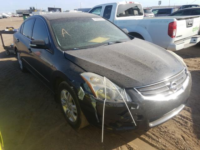 NISSAN ALTIMA BAS 2010 1n4al2ap9an543344