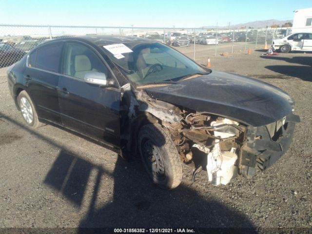 NISSAN ALTIMA 2010 1n4al2ap9an553260