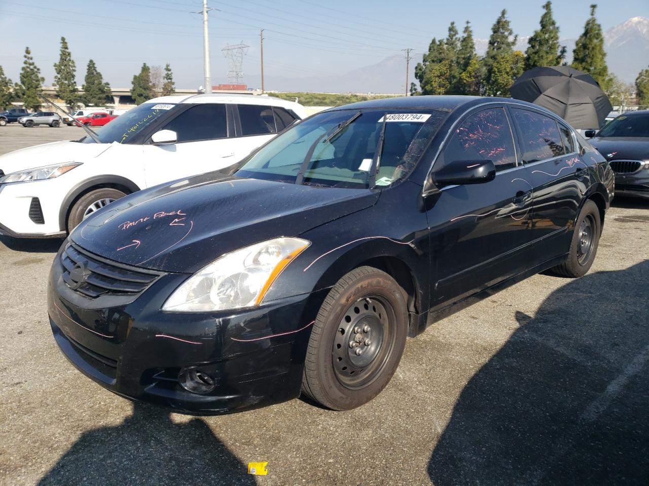 NISSAN ALTIMA 2010 1n4al2ap9an560225