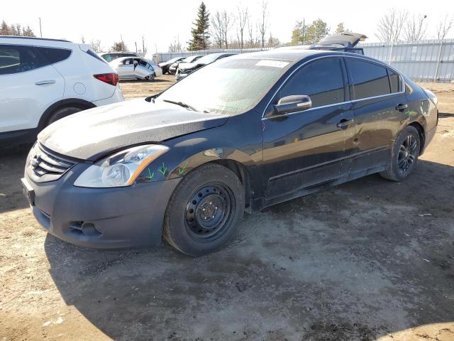 NISSAN ALTIMA 2010 1n4al2apxac185098