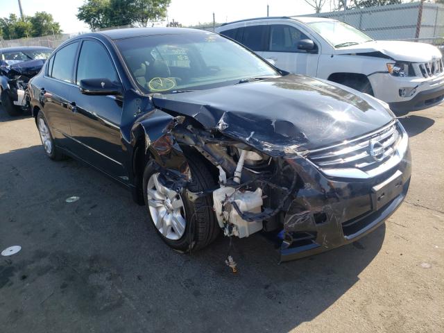 NISSAN ALTIMA BAS 2010 1n4al2apxan403092