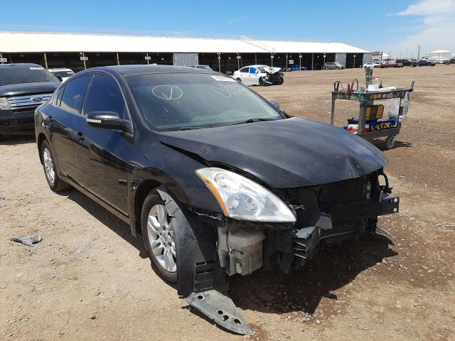 NISSAN ALTIMA BAS 2010 1n4al2apxan430714