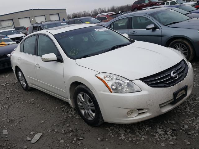 NISSAN ALTIMA BAS 2010 1n4al2apxan480609