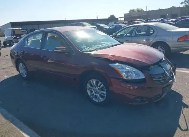 NISSAN ALTIMA 2010 1n4al2apxan483672