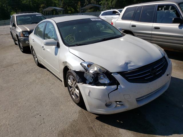 NISSAN ALTIMA BAS 2010 1n4al2apxan500941