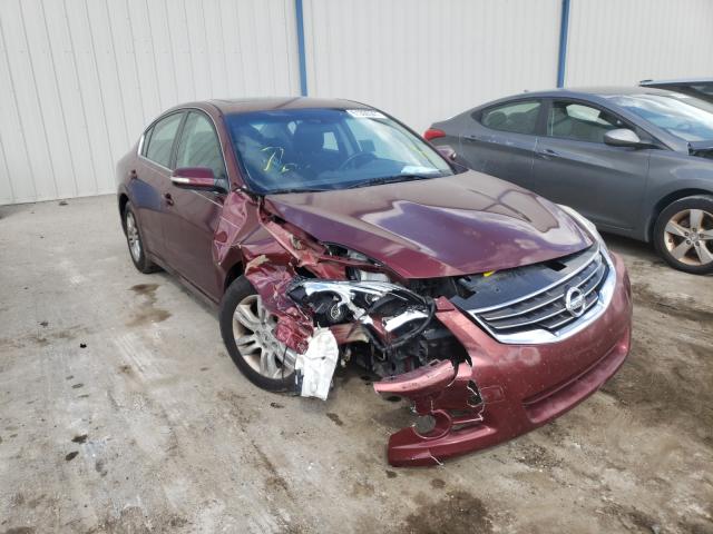 NISSAN ALTIMA BAS 2010 1n4al2apxan502348