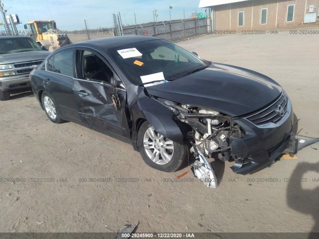 NISSAN ALTIMA 2010 1n4al2apxan502429