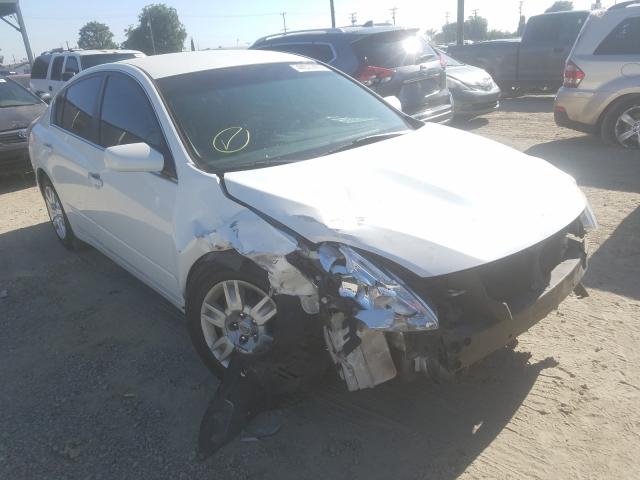 NISSAN ALTIMA BAS 2010 1n4al2apxan515651