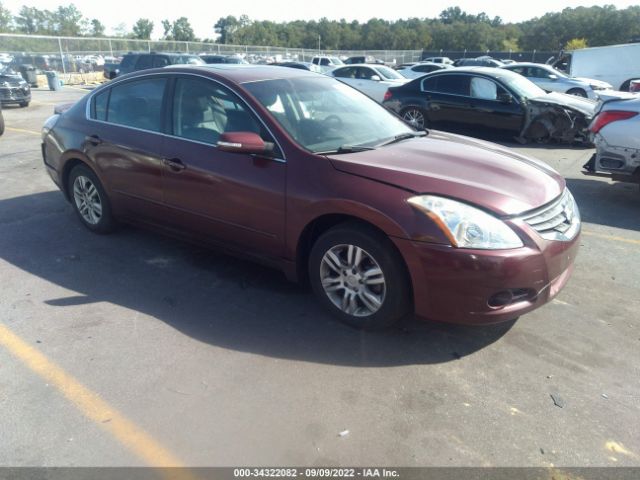 NISSAN ALTIMA 2010 1n4al2apxan519537