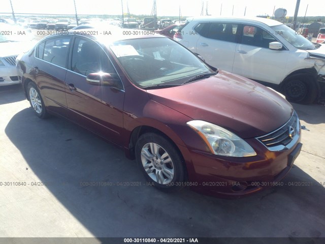 NISSAN ALTIMA 2010 1n4al2apxan549976