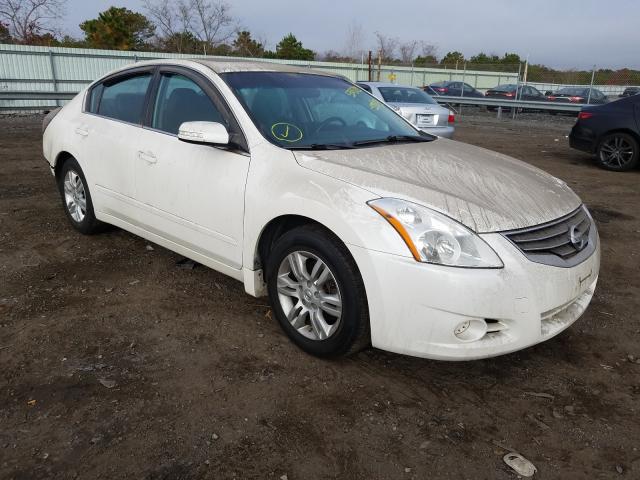 NISSAN ALTIMA BAS 2010 1n4al2apxan555731