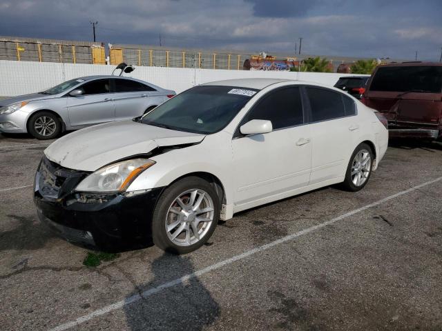 NISSAN ALTIMA BAS 2010 1n4al2apxan558550