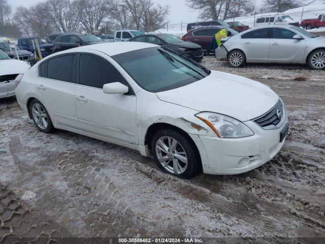 NISSAN ALTIMA 2010 1n4al2apxan559245