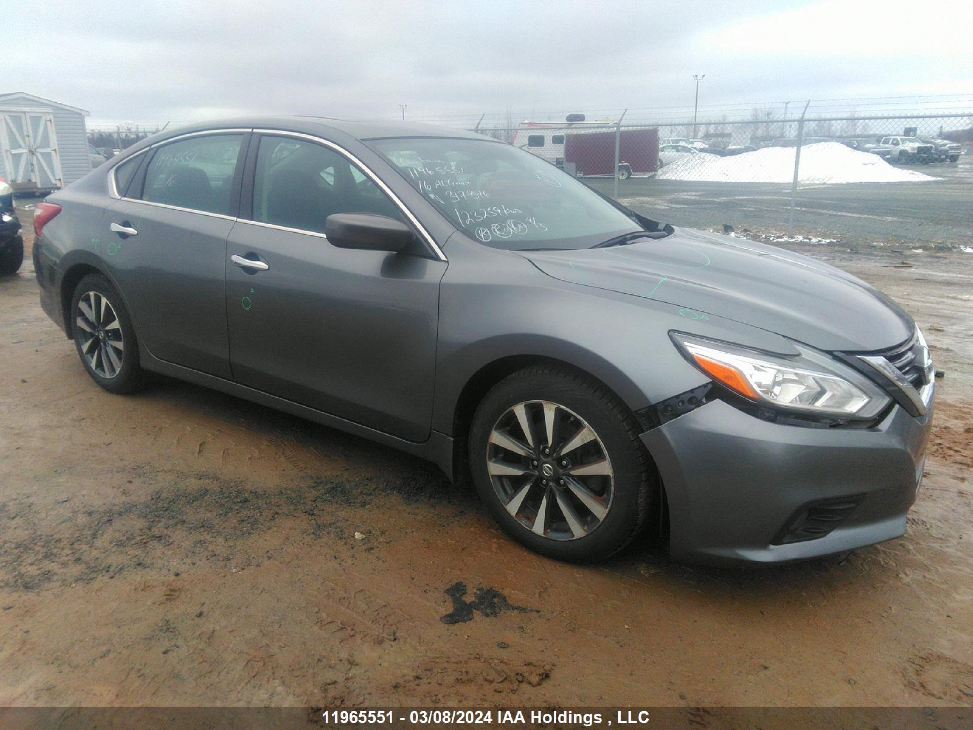 NISSAN ALTIMA 2016 1n4al3ap1gn317376