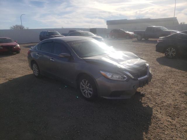 NISSAN ALTIMA 2.5 2016 1n4al3ap1gn365038