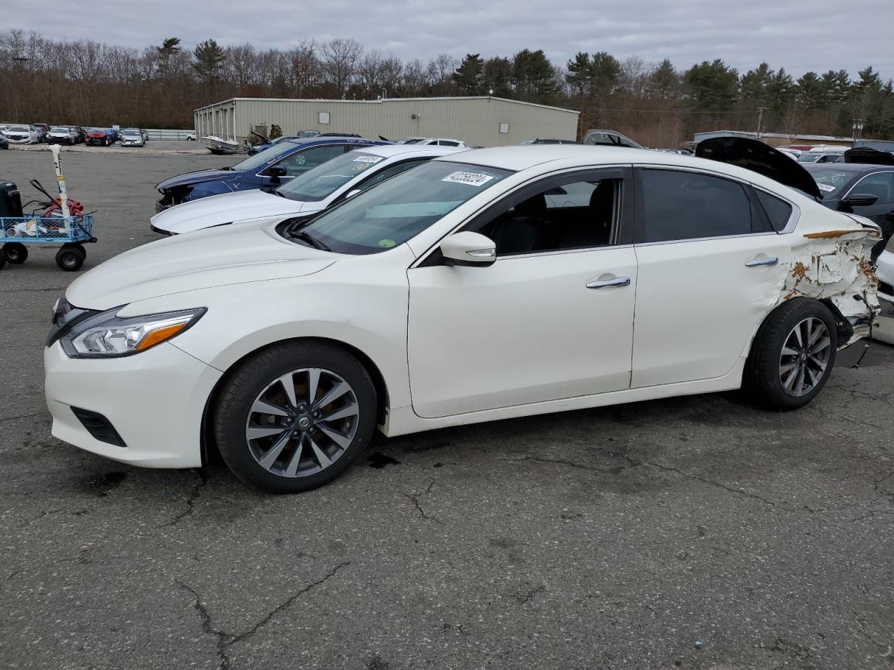 NISSAN ALTIMA 2017 1n4al3ap2hc139359