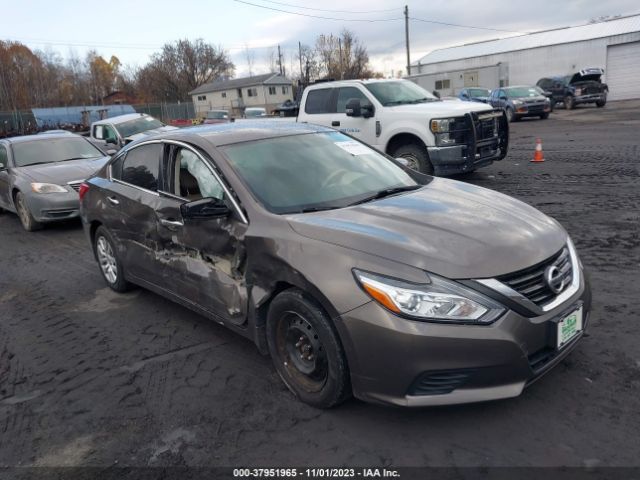 NISSAN ALTIMA 2016 1n4al3ap3gc241834