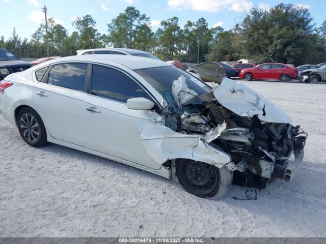 NISSAN ALTIMA 2013 1n4al3ap4dc229333