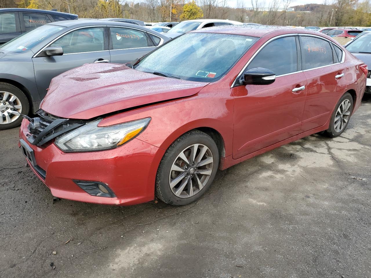 NISSAN ALTIMA 2016 1n4al3ap4gc209605