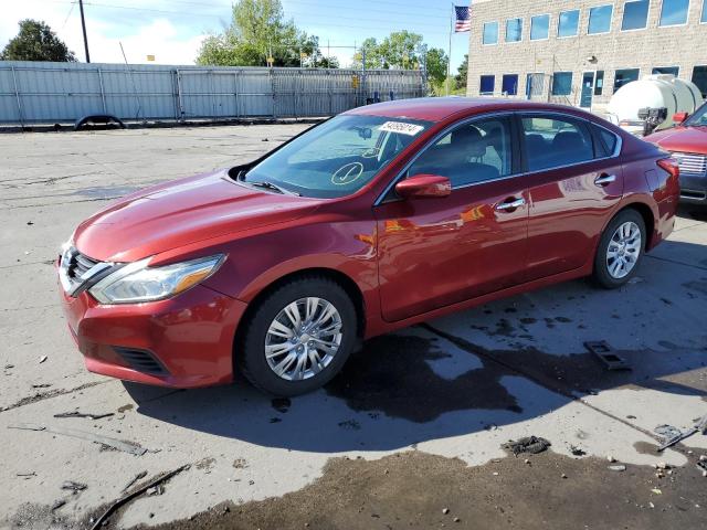 NISSAN ALTIMA 2016 1n4al3ap4gc244998