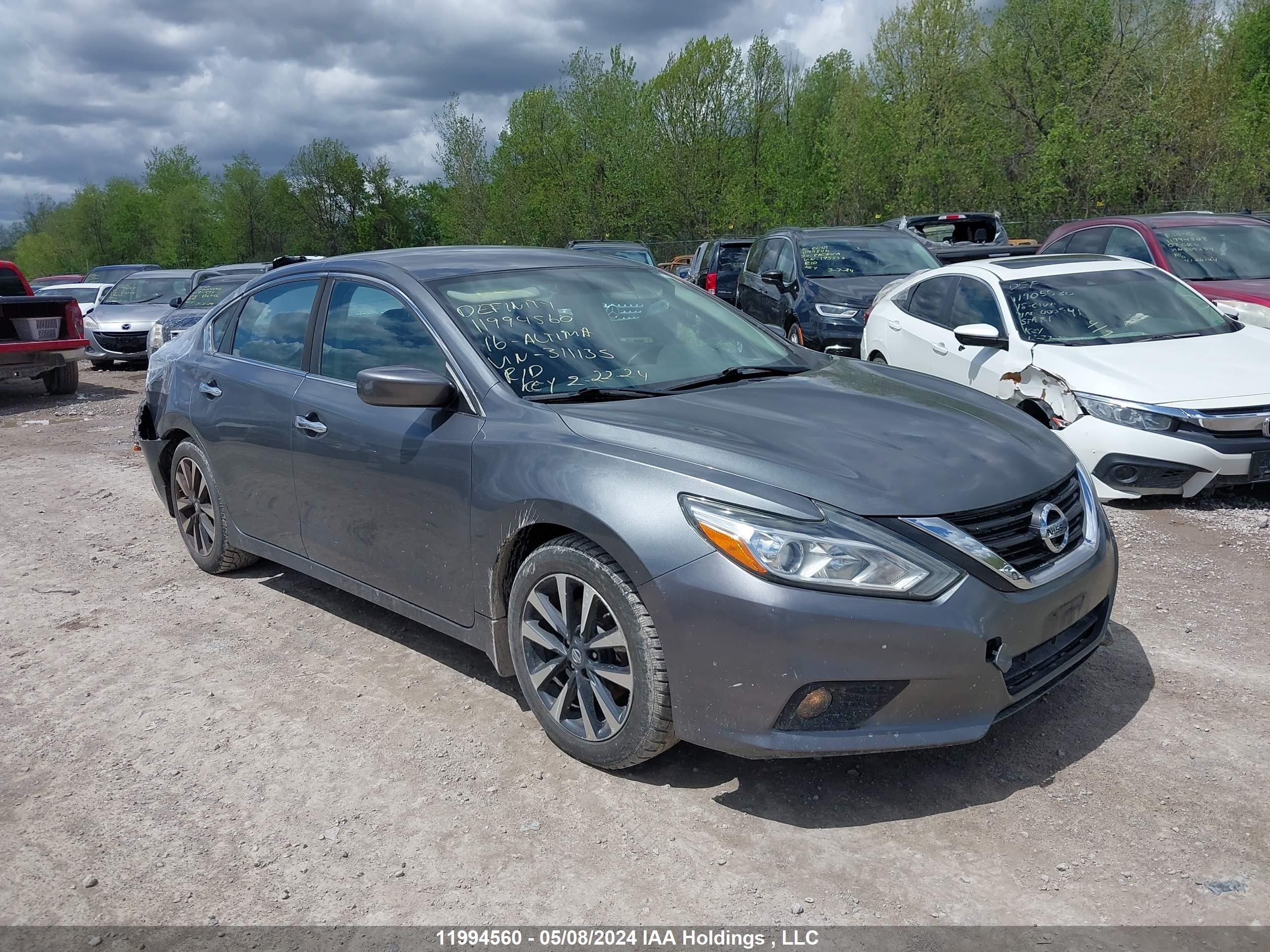 NISSAN ALTIMA 2016 1n4al3ap4gn311135