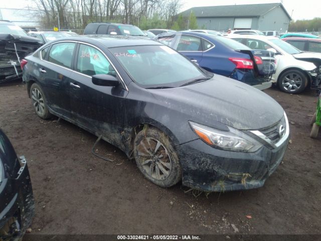 NISSAN ALTIMA 2016 1n4al3ap5gn347710