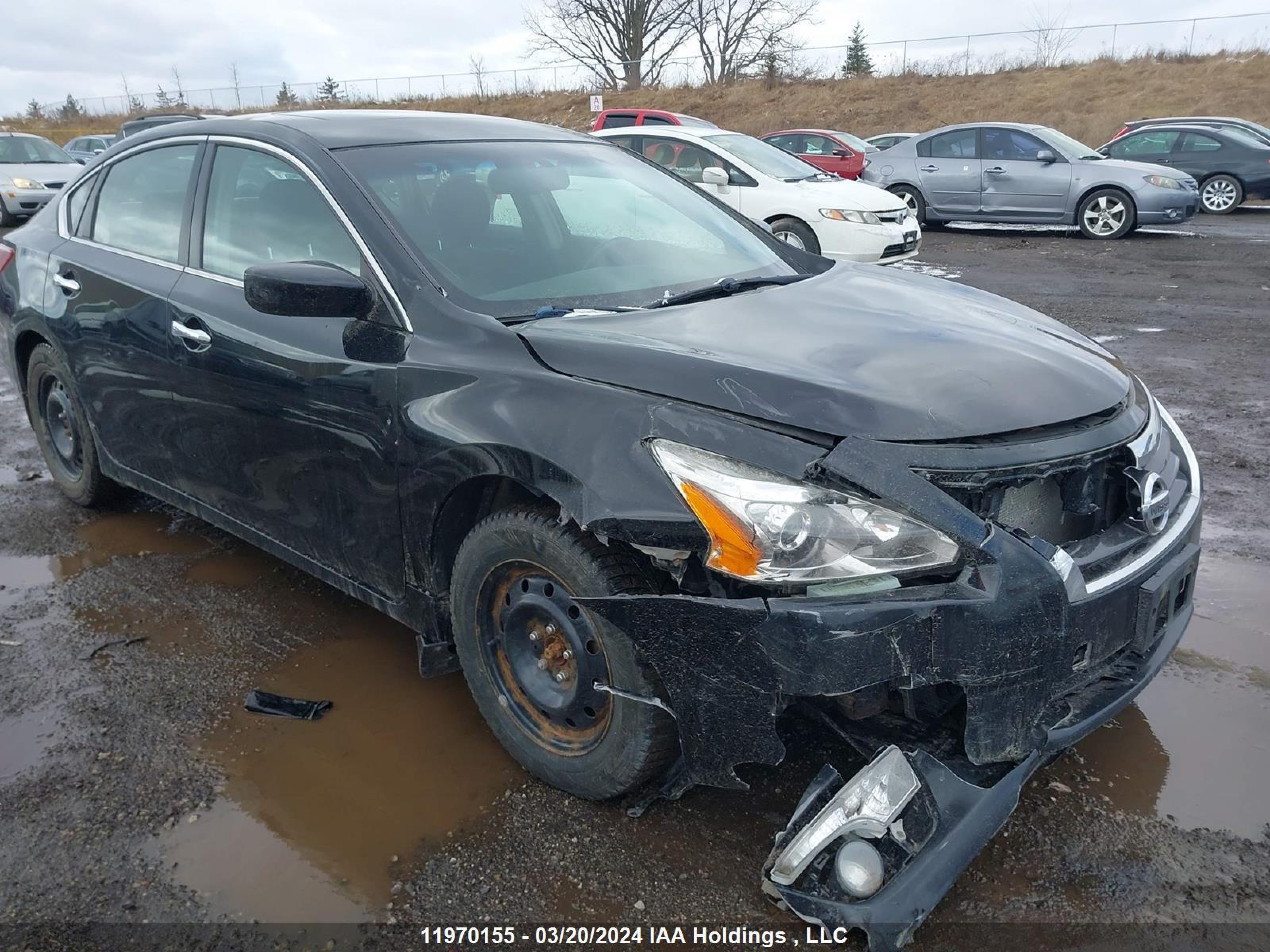 NISSAN ALTIMA 2013 1n4al3ap6dn404847